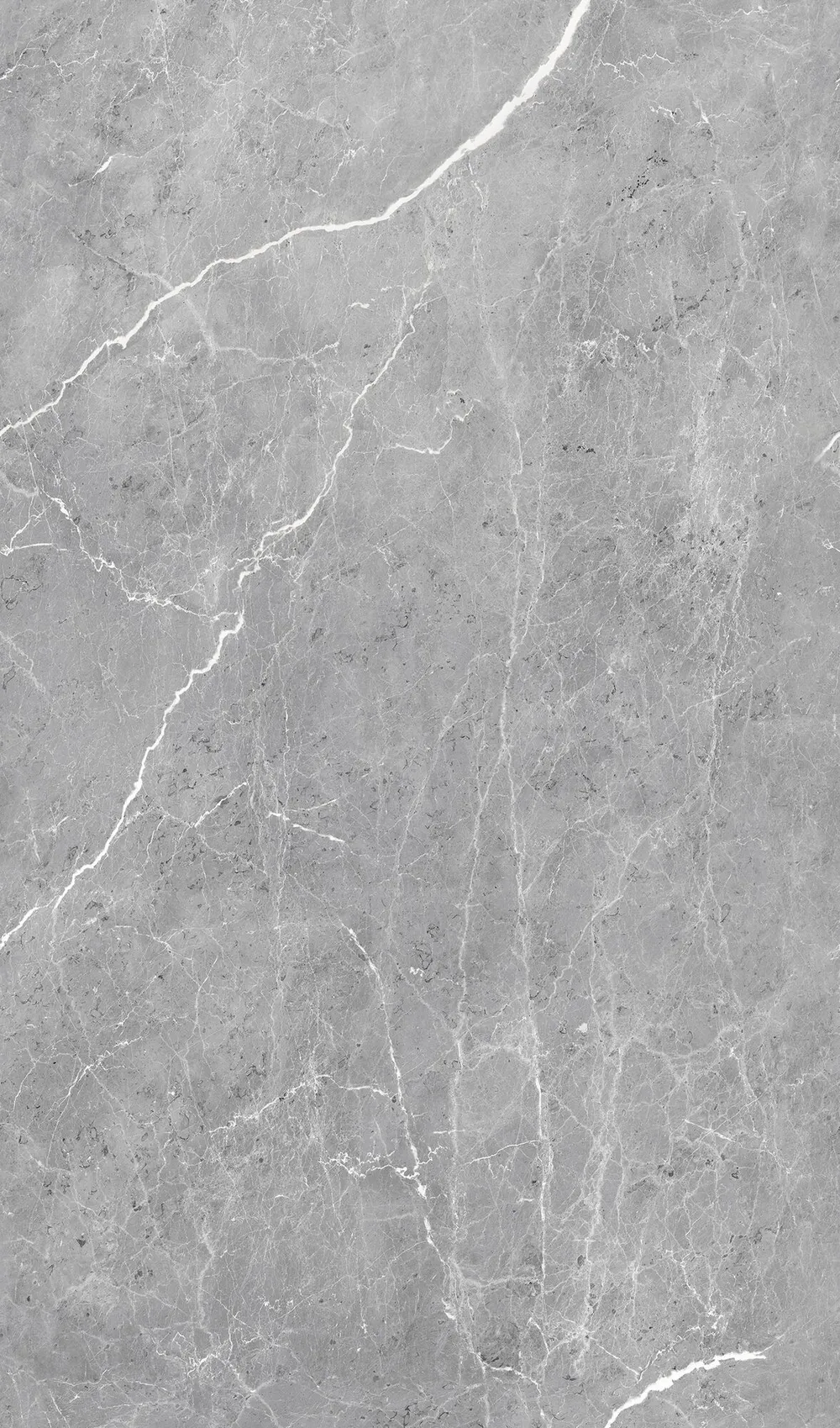 Moderne Duschrückwand der SCHÖNER-WOHNEN-Kollektion in 1000 x 2550 mm mit seidenweicher Oberfläche und natürlichem Farbspiel. Artikel: Silberhauch